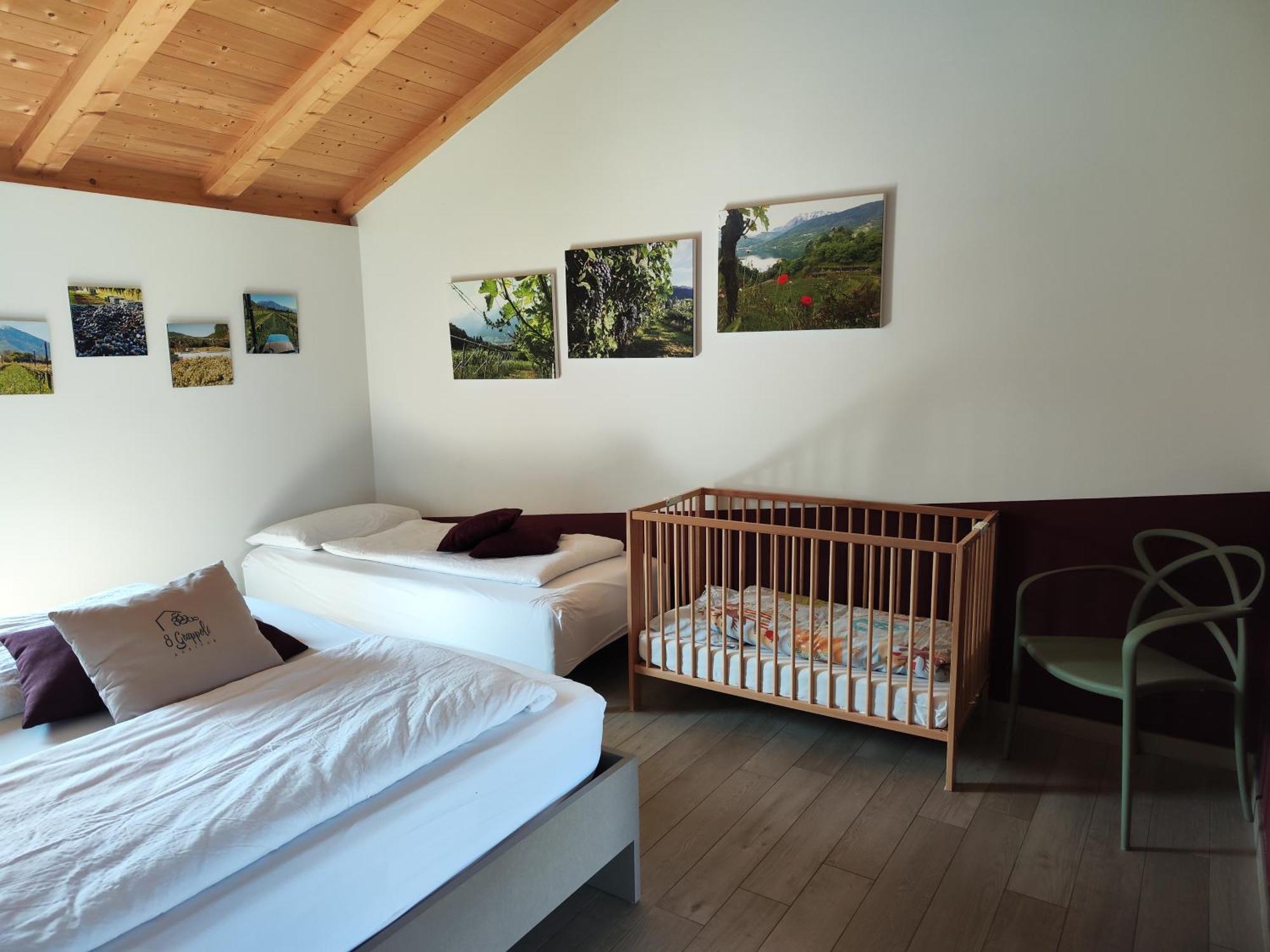 8 Grappoli Agritur Villa Trento Ngoại thất bức ảnh
